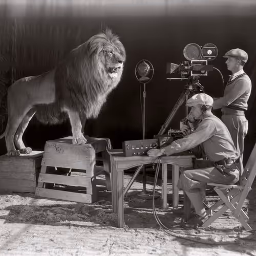 87832029613577301948440201724316869266320892884719152945259080268672403505153