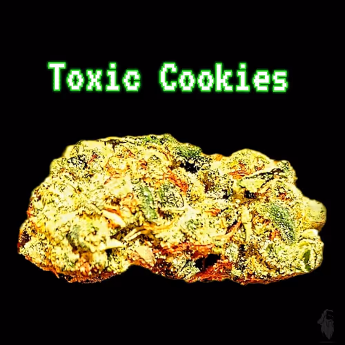 Item #87689570283297516471900235800511228078692535605346005540316604140024754077697 Media