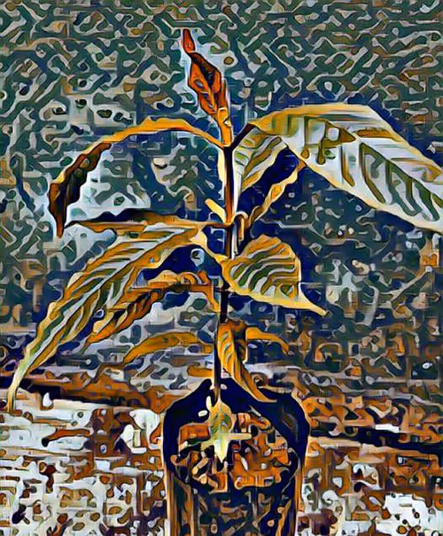 Item #81269833061274051173789884418282317830923519221172308843662164532948119846913 Media