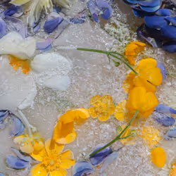 80829721372825377784010953381890255518558028243098186913878117651997874192385