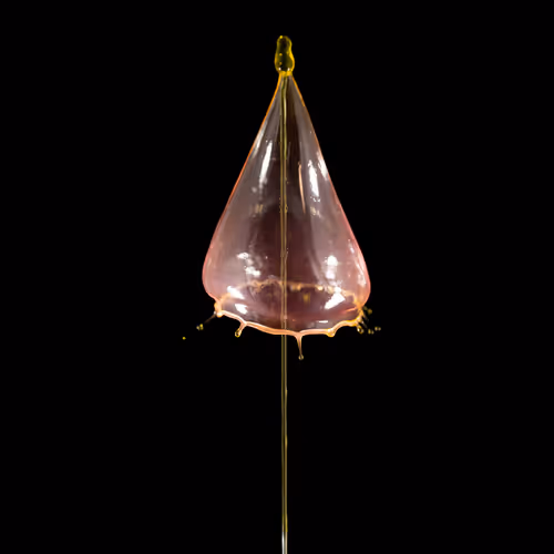 Item #93843816189578981246560604655943518308185846623120940061859981532112871227393 Media