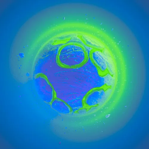 Item #97215460258392717567026531570095310888635138217896101004294998177361308942337 Media