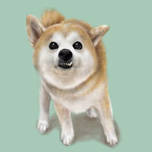 hihicosoms Collection