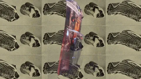 21323097344883849654448628108505436225969268415163286467459733196574738612225