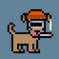 82438041996563505143036997094412011248335074238389028136232905190455537303553