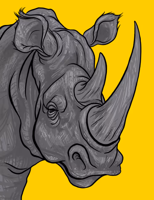 Item #60342236005163987948556802886235213316063293567500632170058184704853364703233 Media