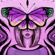 Bright butterfly's