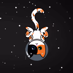 Space Cat #4