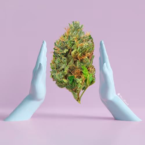 Item #276618171581163995688451181711762959038558310937804576463711716415222317057 Media