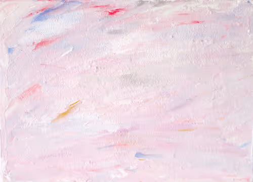 Shinta_Sakamoto Collection