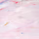 Shinta_Sakamoto Collection