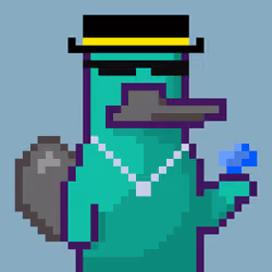 Platy Punk #507