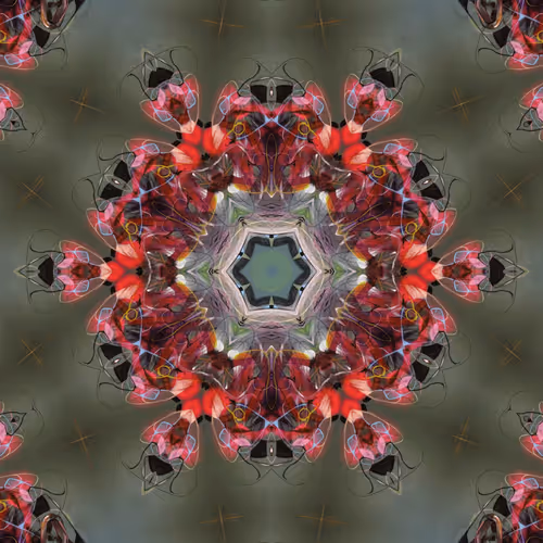 68926149186134342892429898681651910528467495506184414078323304697144836882433