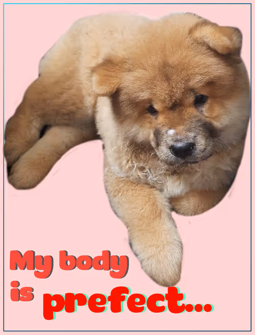 Item #103606411814514267144441239329390381368364317226309774540220525462462004199425 Media