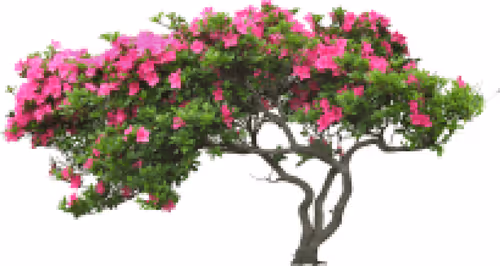 Item #105603725609947989499044129472074064723412167009068320432332286926226987155457 Media