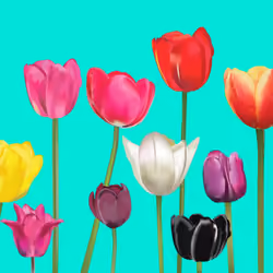 Tulips on a Bright Teal BG
