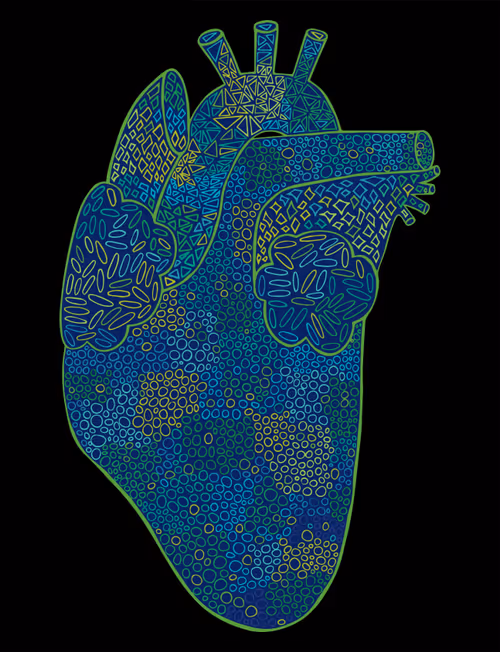 Item #28824502245252267217549902857601847351510039266873569823091148148034760605697 Media