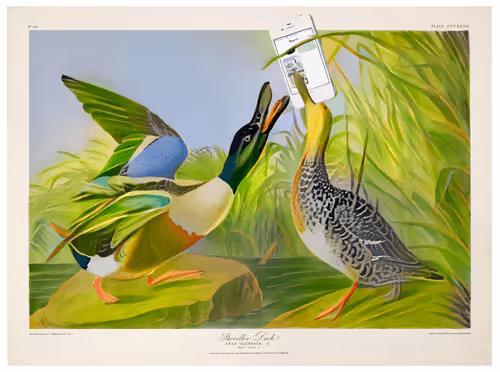 12489479975597442904075550683828375763724097924832948667486829754635996102657