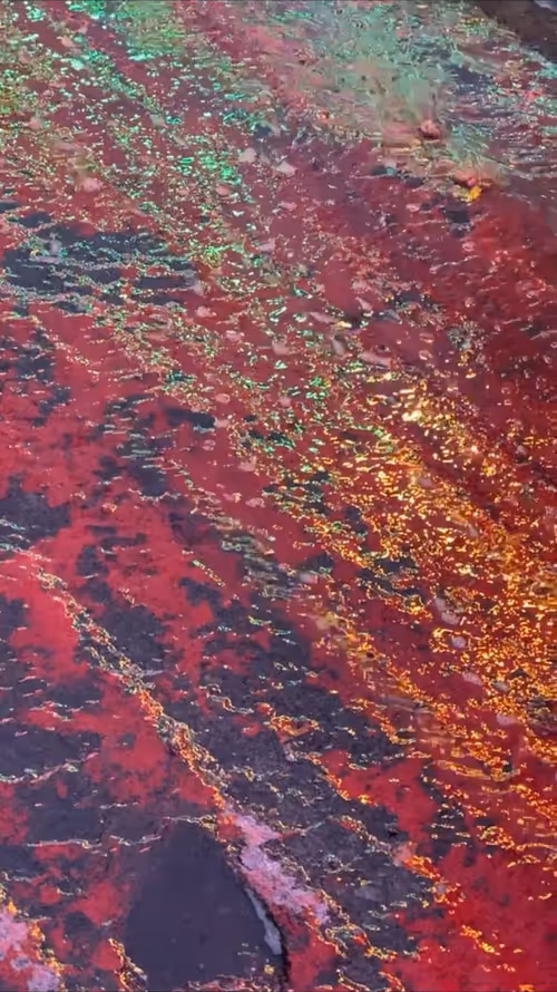 Item #62402000334580523921237358418718502457721815832787791947048085167253248540673 Media