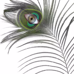 88739672517654571609629058980842887689352165895369549037323409254094318075905