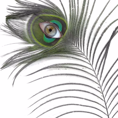 88739672517654571609629058980842887689352165895369549037323409254094318075905