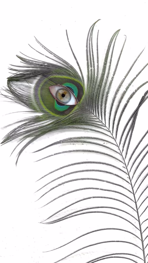 Item #88739672517654571609629058980842887689352165895369549037323409254094318075905 Media