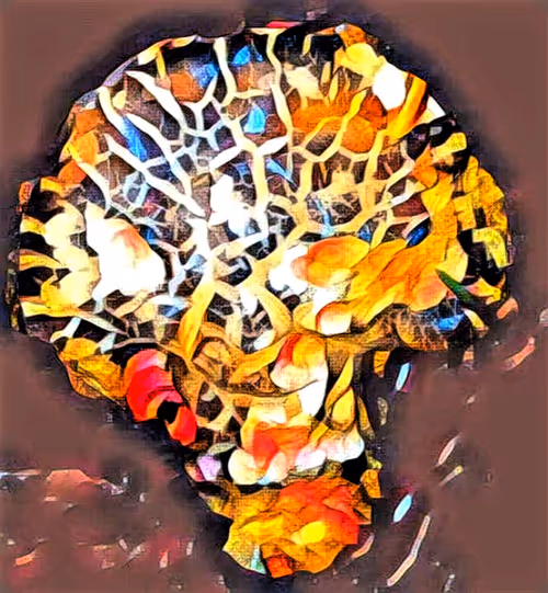 Item #80050559332347163335601971796963442430023304175303914027877321154959410987108 Media