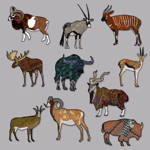 164235yumi Collection