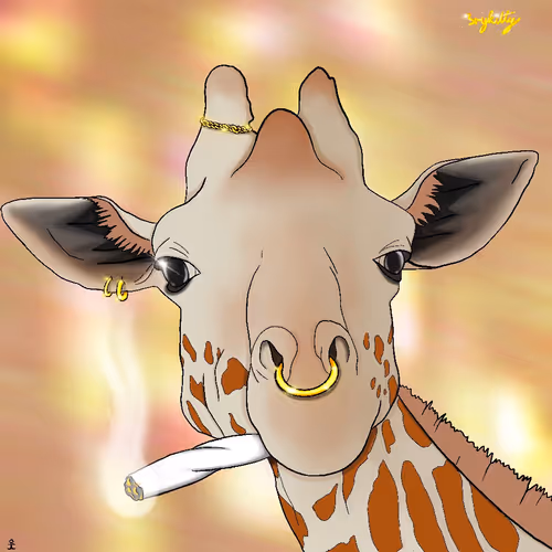 4022168935136463983665312090344681650256047198478876147587872775359569068033