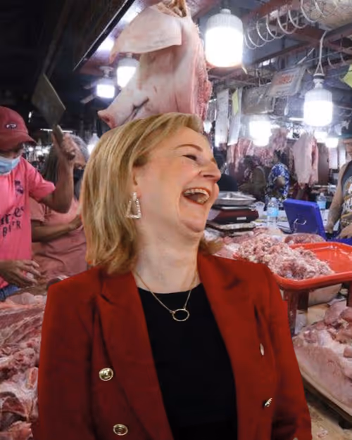 Item #90907620086146797753161991606783873604357593664624881976462271965414836671868 Media