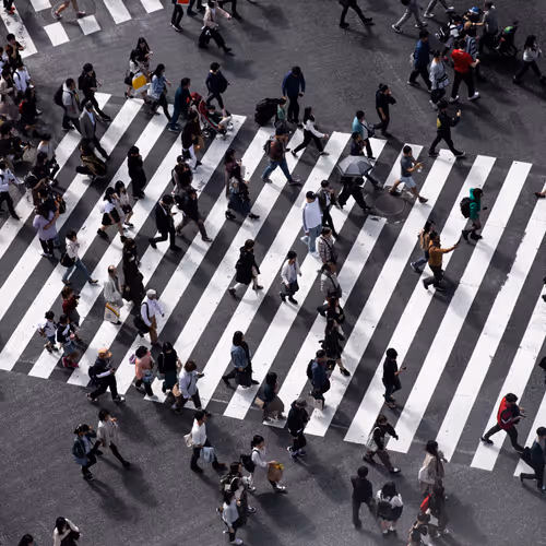 Thecrossing