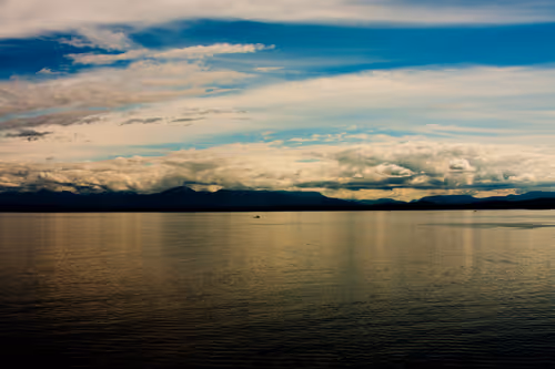 Item #888198070620530782295992843188489433267157345827485471243103211662344192001 Media