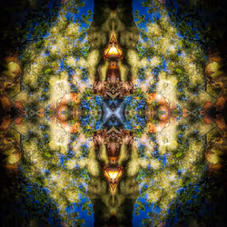Matrix Fractal #1