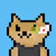 50990333784662216068045043133580224035294296865200642789474748958800844161025