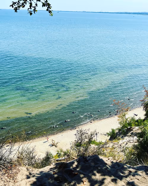 Item #59954803583283845233362897432822646913318648973341504233716415654380527681537 Media