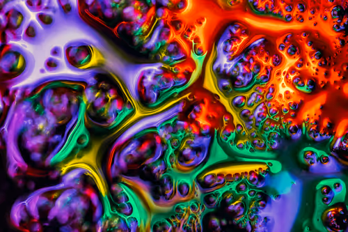 Item #44231692163325033527706634296024509461007343983716307526579858951653214388225 Media