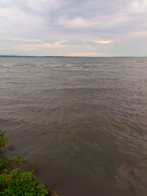 Item #94540594873627566214253693638695074369245433436911139179040268784551671627777 Media