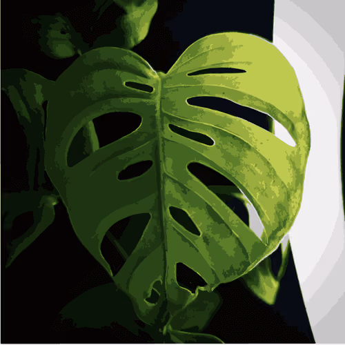 Item #3420234862123012396734898910270039216720628134674632940189596392330524360705 Media