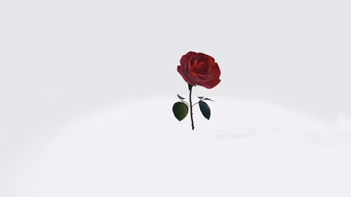 Item #106946727251826402656484438482285855811058658219117834938282916655021256867841 Media