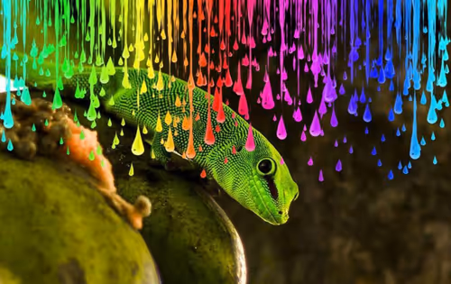 Item #32110930199278690668944437014093757879624799145580780104816925822392603770881 Media