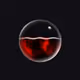 40804310071733365275887890528613580253170009105884358269229708379271825719297