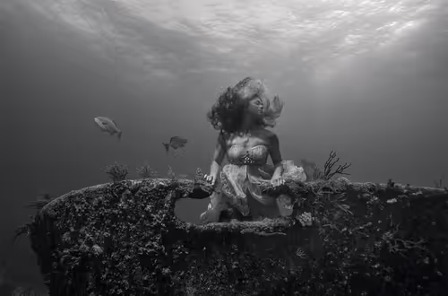 Item #15053791746774206847378132413351543931211387295509872783724080624384088211457 Media