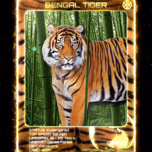 Animal Kingdom Card Collection | KriptoKrazed