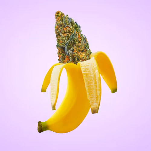 Item #276618171581163995688451181711762959038558310937804576463711693325478133761 Media