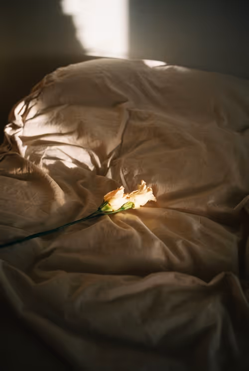 Item #60885990249262677304379181781456520543474127890329194646540695417913746653185 Media