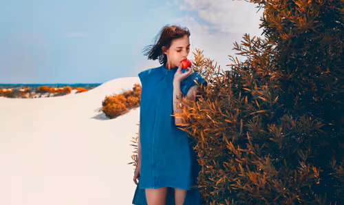 Item #74041664674868429790695475906142852890319733090417010668925589068991996887041 Media