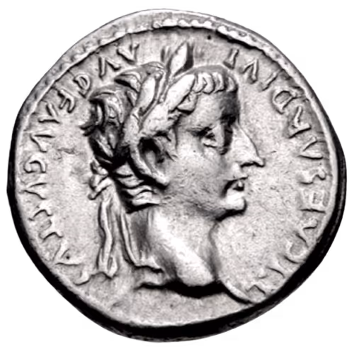 77542017747529569182009060253877341118964181064476913553913041445255634747393