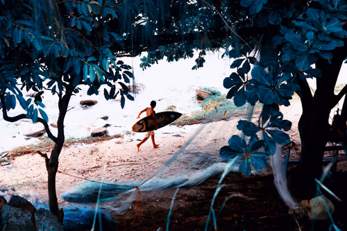 Item #62450163587464916646709375765120479654393339948388085324429160203283651887105 Media