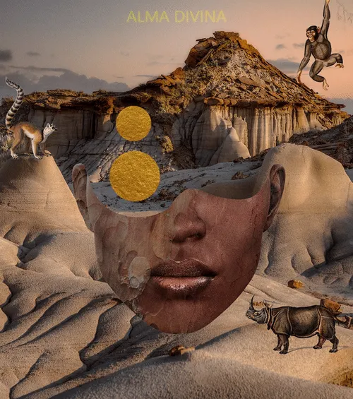 Item #10133503931691611381105861866214852730808786993761746614125845776608926892037 Media