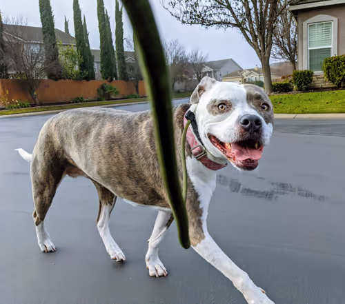 Item #31032485861556932047512782212507255574784711127847173487196557289616828268545 Media